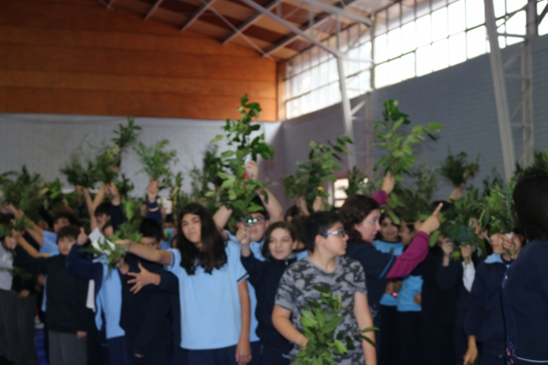 Celebración de Ramos